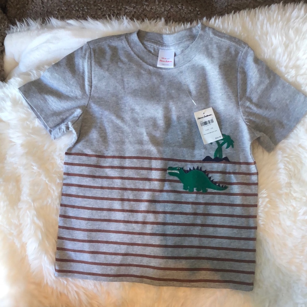 NWT Hanna Andersson Striped Dino Tee US 4